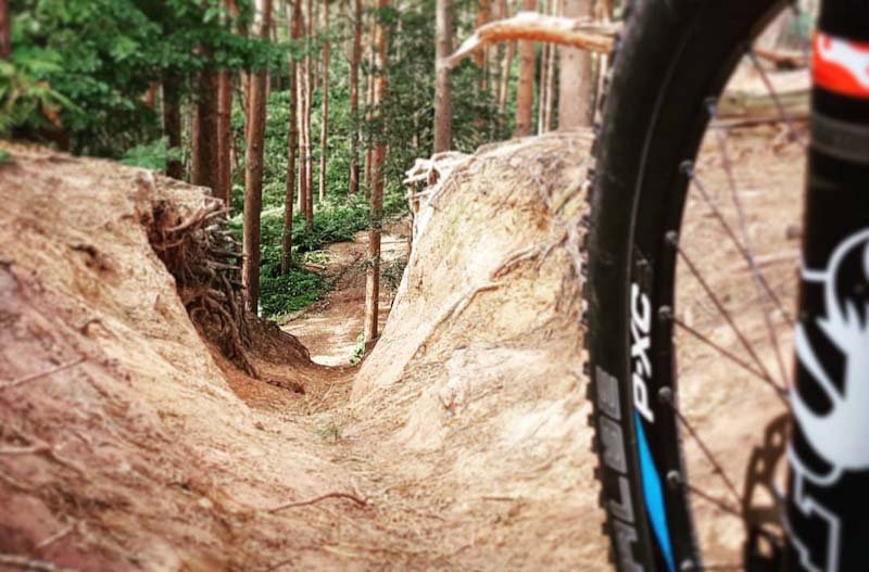 Dropping into No Brains at Delamere Forest