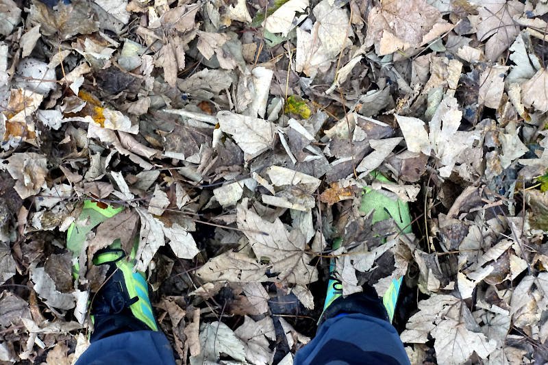 My walking shoes amongst a carpet of leaves !